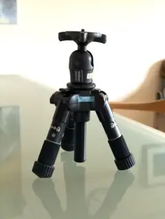 Item thumbnail for item 138e8429-462e-4d2c-9e21-bb9b0f97a08e