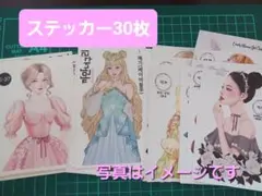 人物ステッカーランダム30枚セット