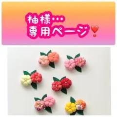 柚様…専用
