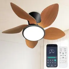 Item thumbnail for item c030d657-ff5d-43ac-8ea5-5e5d99c74fdb