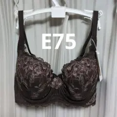 [トリンプ] E75 レッドレーベル バイ TR0111 フルカップブラジャー