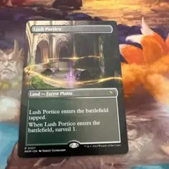 MTG 草萌ゆる玄関 英語 拡張 ショーケース