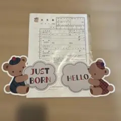 ファミリア 出生届2枚＋フォトプロップス2枚