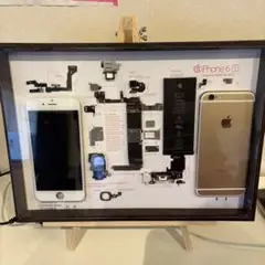 iPhone4s ブラック 標本アートA3 iPhone4s ブラック 標本アートA3