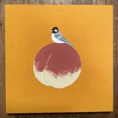 アカツキとシジュウカラ 野鳥