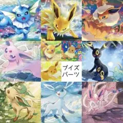 ポケモンカードゲーム/ブイズコレクション