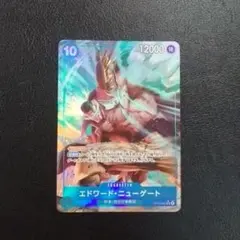 エドワード・ニューゲート パラレル 受け継がれる意志 ワンピース メルカリ便