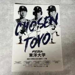 東洋大学 細野晴希 硬式野球部 クリアファイル