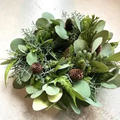 Item thumbnail for item 904f04af-c4c3-4e99-8f45-2d748ce528f1