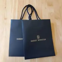 Item thumbnail for item 3bfa1cff-4123-4bd5-8e8a-ef39d24af311