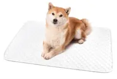 Item thumbnail for item 92328f79-f59d-4d12-9534-2fdca7c1230d