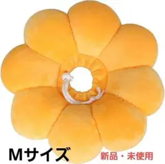 Item thumbnail for item 10d88512-5233-48c1-bf32-7f37198deb2a