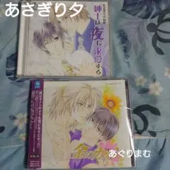 ＢＬＣＤ　あさぎり夕　紳士は夜に求愛する ／金のカイン