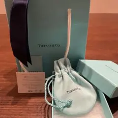 Tフープピアス