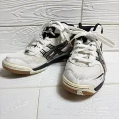 Item thumbnail for item 6091d611-4f1c-45c7-a88b-31a07bdb7d57