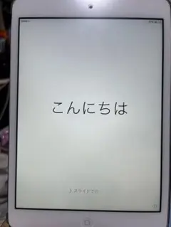 ホワイト iPad mini 本体 初代