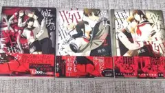 匿名配送 彼女の腕は掴めない コミックス全巻セット 理央 1-3巻