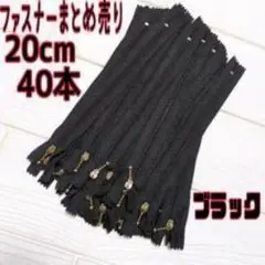 ブラックファスナー 20cm 40本セット