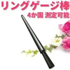 リングゲージ棒 サイズ棒 指輪 サイズ 計測 日本 US 世界 規格 1~34号