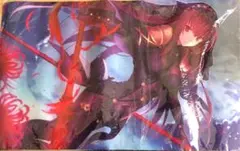 α2 FGO ロイヤル・アイシング スカサハ スリーブ&プレイマット α2 FGO ロイヤル・アイシング スカサハ スリーブ&プレイマット