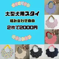 Item thumbnail for item 11ebb3b4-c973-4477-9b40-f985264df97d