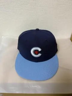 Item thumbnail for item e1c35a69-5087-4363-8815-cf0a77b49672