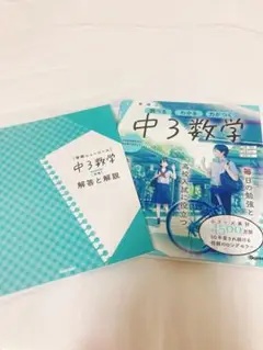 中3数学 解答と解説付き