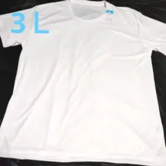 ３Ｌ　ファイバードライのオフホワイトの半袖インナーJ！