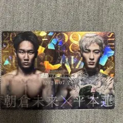 RIZIN ポスターカードセット