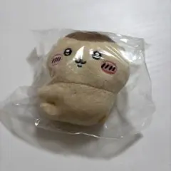 Item thumbnail for item cd240539-2a14-4e46-ade1-73c5cca16f48