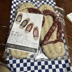 健康布ぞうり ベージュと赤 花柄