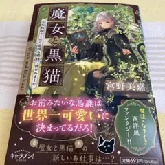 魔女と黒猫 家庭教師をしたら高慢な姫様に懐かれました