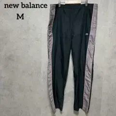 Item thumbnail for item a968ca56-fe00-4665-a6d4-0bdb858db739