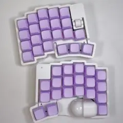【らんびー氏専用】左右分割式トラックボール付きワイヤレスキーボード