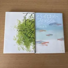 大崎善生2冊セット
