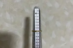 Item thumbnail for item 00b86a9f-6c31-4918-8853-408b20ba40a6