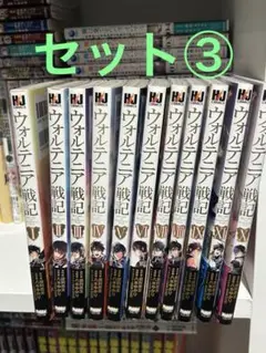 ウォルテニア戦記1〜11巻（セット③）