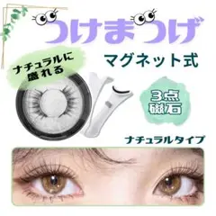 マグネット式 つけまつげ ナチュラル 磁石 簡単 時短 アイラッシュ プール
