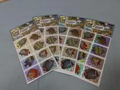 お魚のステッカー4枚