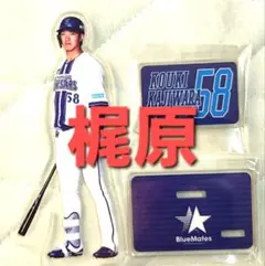 【未使用品】横浜DeNAベイスターズ　アクリルスタンド（梶原選手）