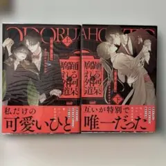 踊る阿呆と腐れ外道 上下巻完結 あかねソラ BLコミック