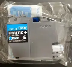 Item thumbnail for item 5ce63945-0194-4371-b486-49d26a1e7bfa