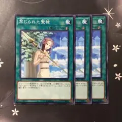 9700 禁じられた聖衣