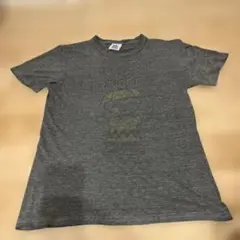 BEAMS ジャンクフード チャーリーブラウン Tシャツ junkfood