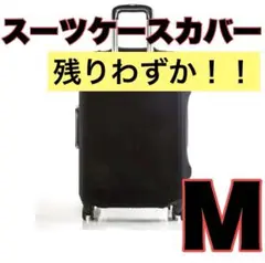 Item thumbnail for item 96eb4782-7a34-41d2-b06f-124e5d02d716