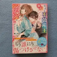気高き不動産王は傷心シンデレラへの溺愛を絶やさない
