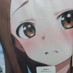 おりきゃら　高木さん　抱き枕カバー　シークレット