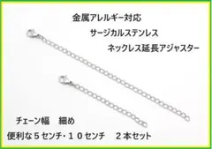 細め！10cm5cm2本セット/サージカルステンレスネックレス/延長アジャスター