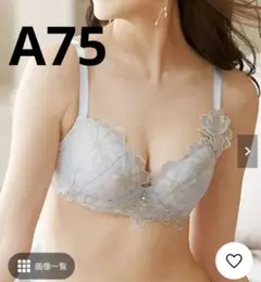 ブラジャー　A75