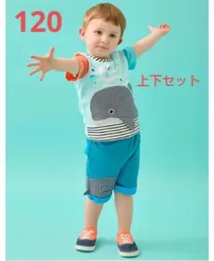 美品と新品・ベイビーチアー　くじらTシャツ　ハーフパンツ　セット　120